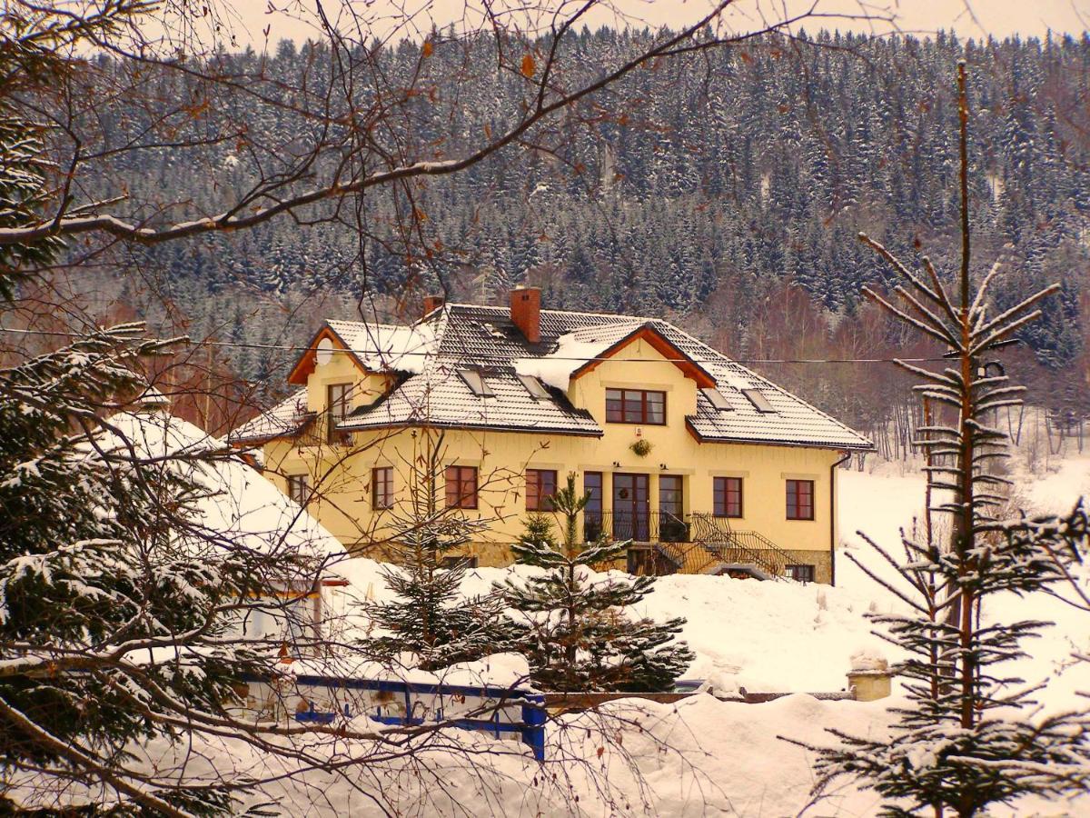 Apartamenty Dom na Wzgórzu Stronie Śląskie Exterior foto