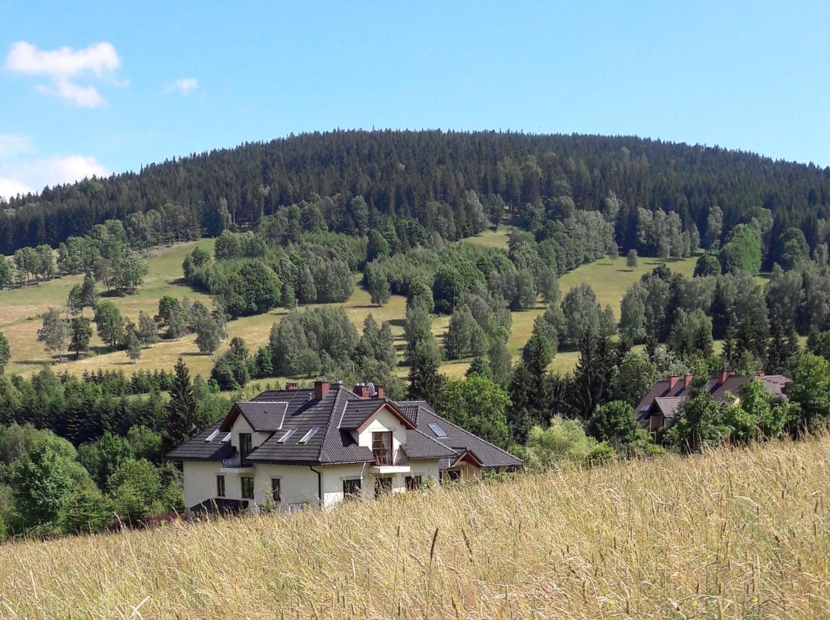 Apartamenty Dom na Wzgórzu Stronie Śląskie Exterior foto